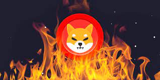 Out of The Doghouse and Into the Fire