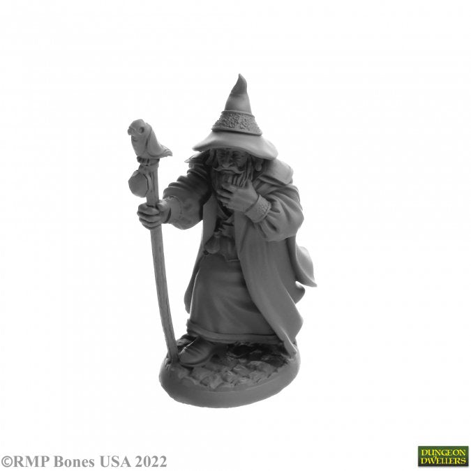Landol Griwsold, Human Wizard: Bones USA - Dungeon Dwellers RPR 07068
