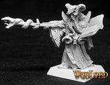 Leisynn, Mercenaries Mage: Warlord RPR 14060