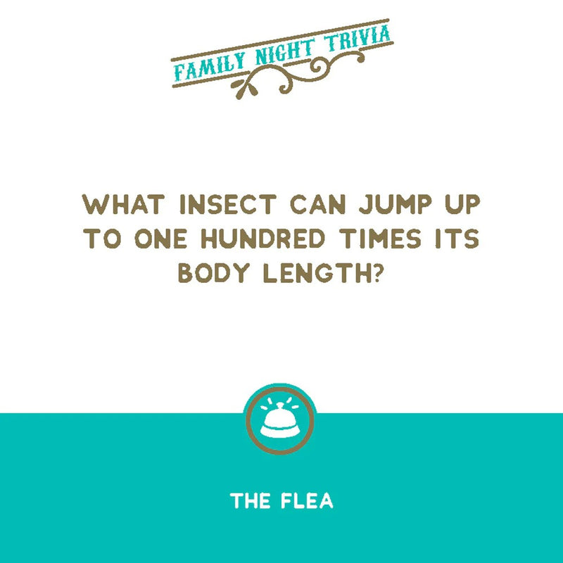 That Rings a Bell! Game: Family Night Trivia CHR 0513