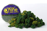 Miniatures Tools: Hobby Round Summer 3 Color Clump Foliage Mix GF9 GFS013
