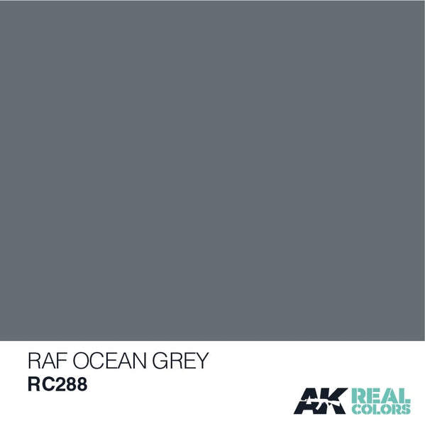 Real Colors: RAF Ocean Grey - 10ml LTG AK-RC288 – The Hidden Lair