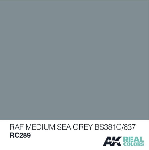 AK Interactive RC289 - Raf Medium Sea Grey BS381C/637 - 10 ml