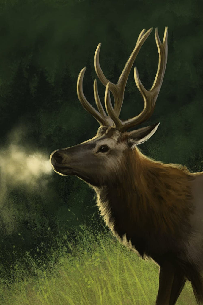 Atlas: Enchanted Lands RGS 00576