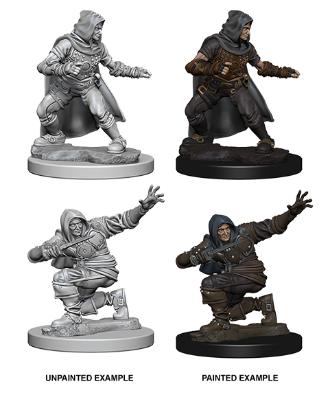 Human Male Rogue: Pathfinder Battles Deep Cuts WZK 72602