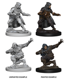 Human Male Rogue: Pathfinder Battles Deep Cuts WZK 72602