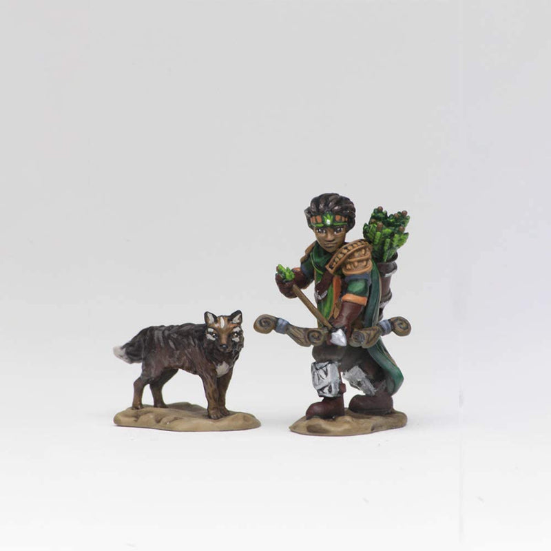 Boy Ranger & Wolf: WizKids Wardlings WZK 73316