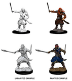 Bandits: D&D Nolzur's Marvelous Miniatures WZK 73677