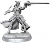 D&D Frameworks: W01 - Tiefling Rogue Female WZK 75020
