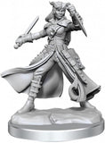 D&D Frameworks: W01 - Tiefling Rogue Female WZK 75020