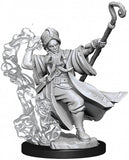 D&D Frameworks: W01 - Human Wizard Male WZK 75030