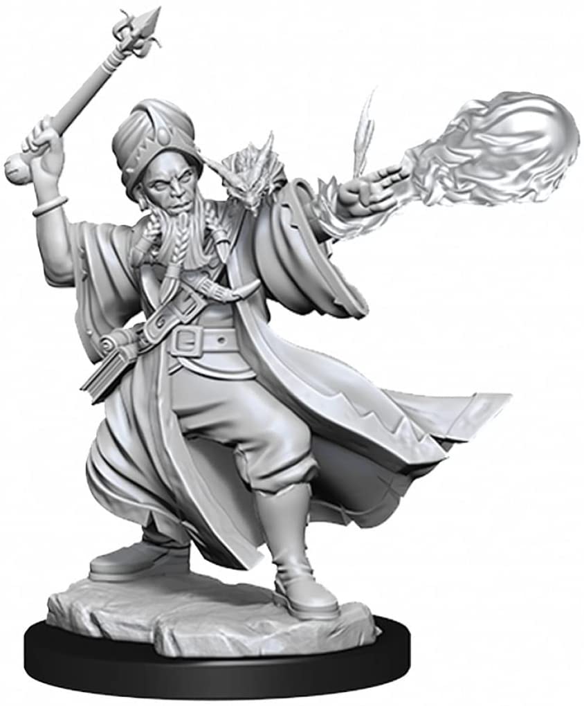 D&D Frameworks: W01 - Human Wizard Male WZK 75030