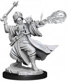 D&D Frameworks: W01 - Human Wizard Male WZK 75030