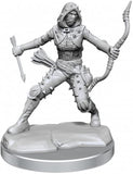 D&D Frameworks: W01 - Human Rogue Female WZK 75038