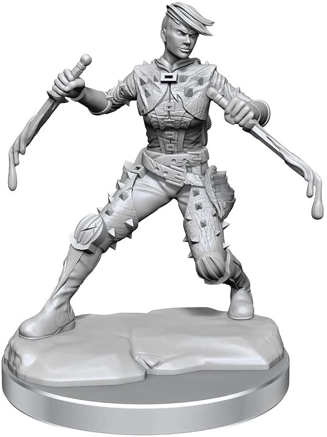D&D Frameworks: W01 - Human Rogue Female WZK 75038