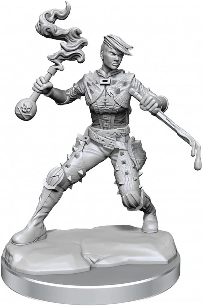 D&D Frameworks: W01 - Human Rogue Female WZK 75038