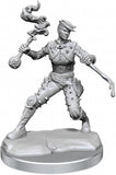 D&D Frameworks: W01 - Human Rogue Female WZK 75038