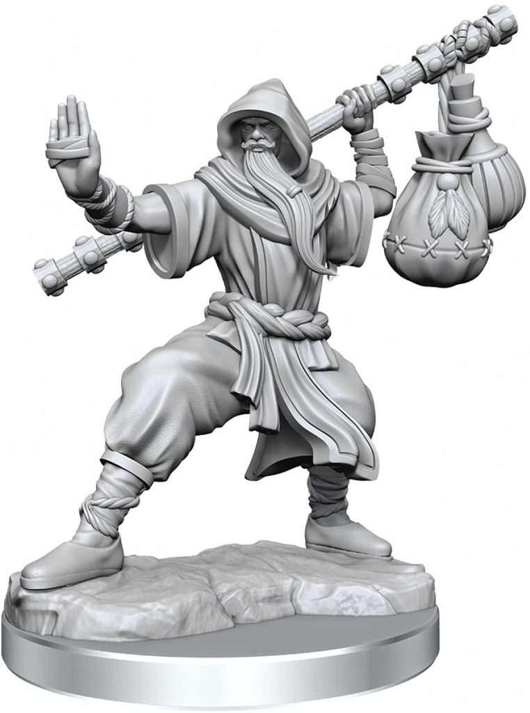 D&D Frameworks: W01 - Human Monk Male WZK 75075
