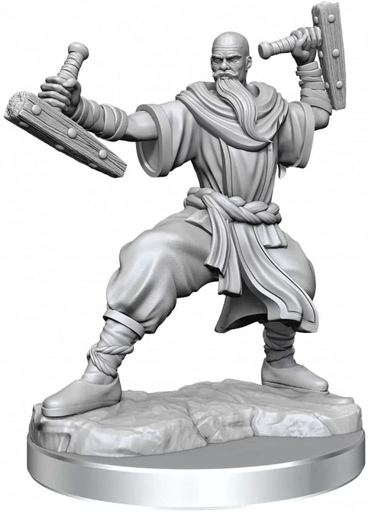D&D Frameworks: W01 - Human Monk Male WZK 75075