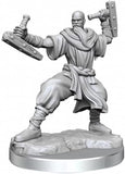 D&D Frameworks: W01 - Human Monk Male WZK 75075