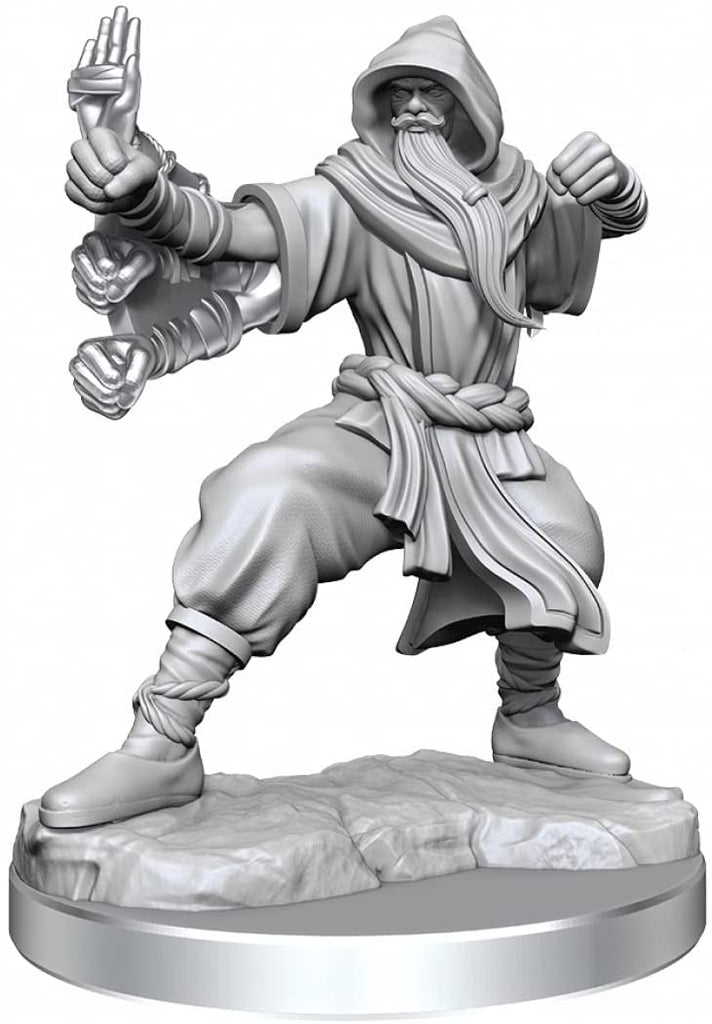 D&D Frameworks: W01 - Human Monk Male WZK 75075