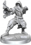 D&D Frameworks: W01 - Human Monk Male WZK 75075
