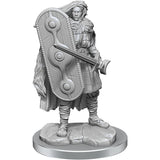 Brigante Celts: Wizkids Deep Cuts WZK 90454