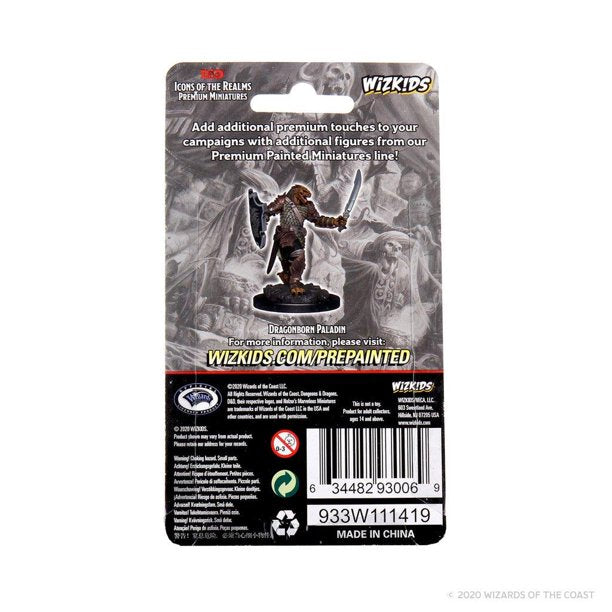 Dragonborn Female Paladin: Premium Figures - D&D Icons of the Realms WZK 93006
