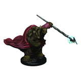 Tortle Male Monk: Premium Figures - D&D Icons of the Realms WZK 93016