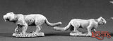 Ferocious Felines: Dark Heaven Legends RPR 02198