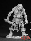 Garnuk the Ogre: Dark Heaven Legends RPR 02288