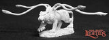 Phase Cat: Dark Heaven Legends RPR 02664