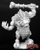 G'nort, Dire Wereboar: Dark Heaven Legends RPR 02799