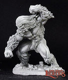 Sasquatch: Dark Heaven Legends RPR 03029