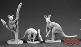 Animal Companions III (Aardvark, Kangaroo, Koala): Dark Heaven Legends RPR 03589