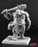 Ogre Guard: Dark Heaven Legends RPR 03712