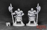 City Guard (2): Dark Heaven Legends RPR 03848