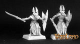 Elf Royal Guardsmen (9): Warlord RPR 06190