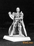 Crusader Hospitalier: Warlord RPR 14420