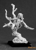Drys, Elven Dryad: Warlord RPR 14479