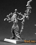 D'Khul, Bathalian: Warlord RPR 14511