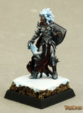 Evshyvandra Duskwidow, Dark Elf Warrior: Warlord RPR 14631