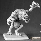 Troll: Pathfinder RPR 60021