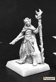 Aravashniel, Elf Wizard: Pathfinder RPR 60139