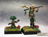 Druid And Familiar: Pathfinder RPR 60147