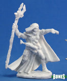 Elquin, High Elf Adventurer: Bones RPR 77092