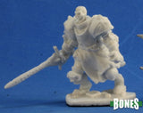 Barrow Warden 1: Bones RPR 77346