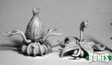 Death Star Lilies (2): Bones RPR 77504