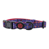 Wizard - Dog Collar | Large