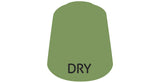 Dry: Nurgling Green (12ml) GAW 23-25-S